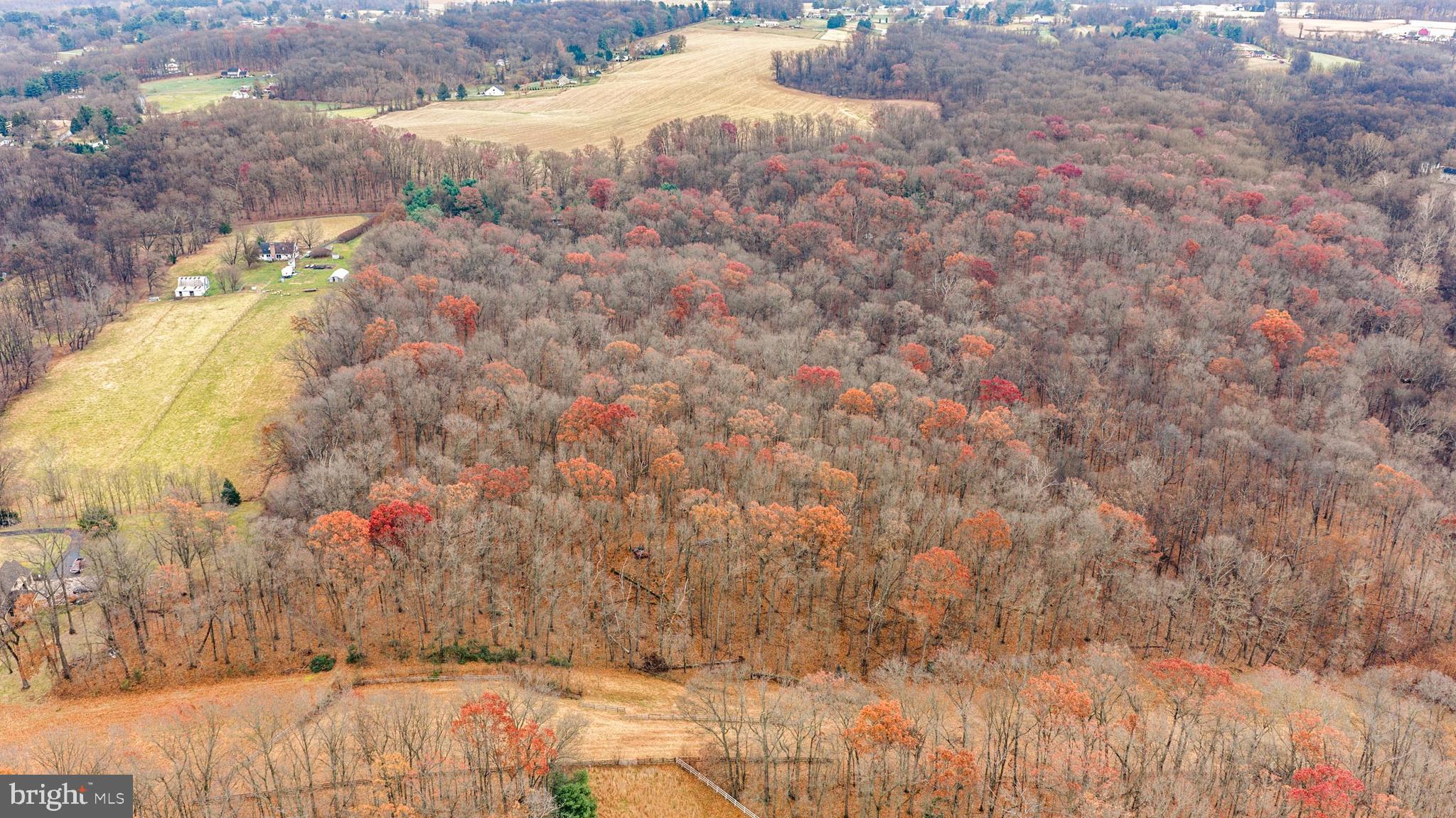 2052 Nelson Mill Road Jarrettsville, MD 21084 - Photo 20 of 22 a view of open space with city view