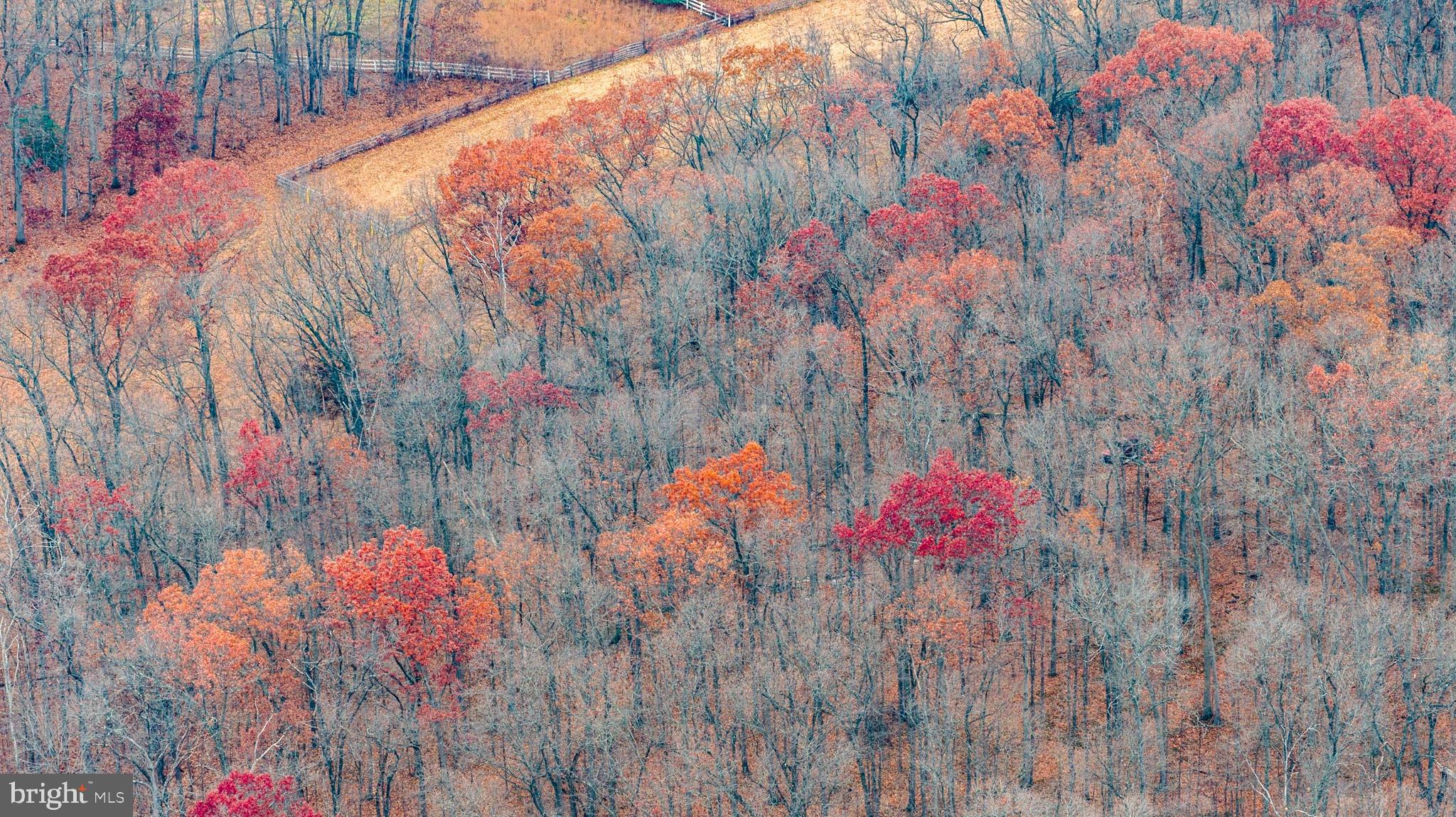 2052 Nelson Mill Road Jarrettsville, MD 21084 - Photo 22 of 22 a view of entryway