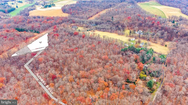 a view of a park with iron fence