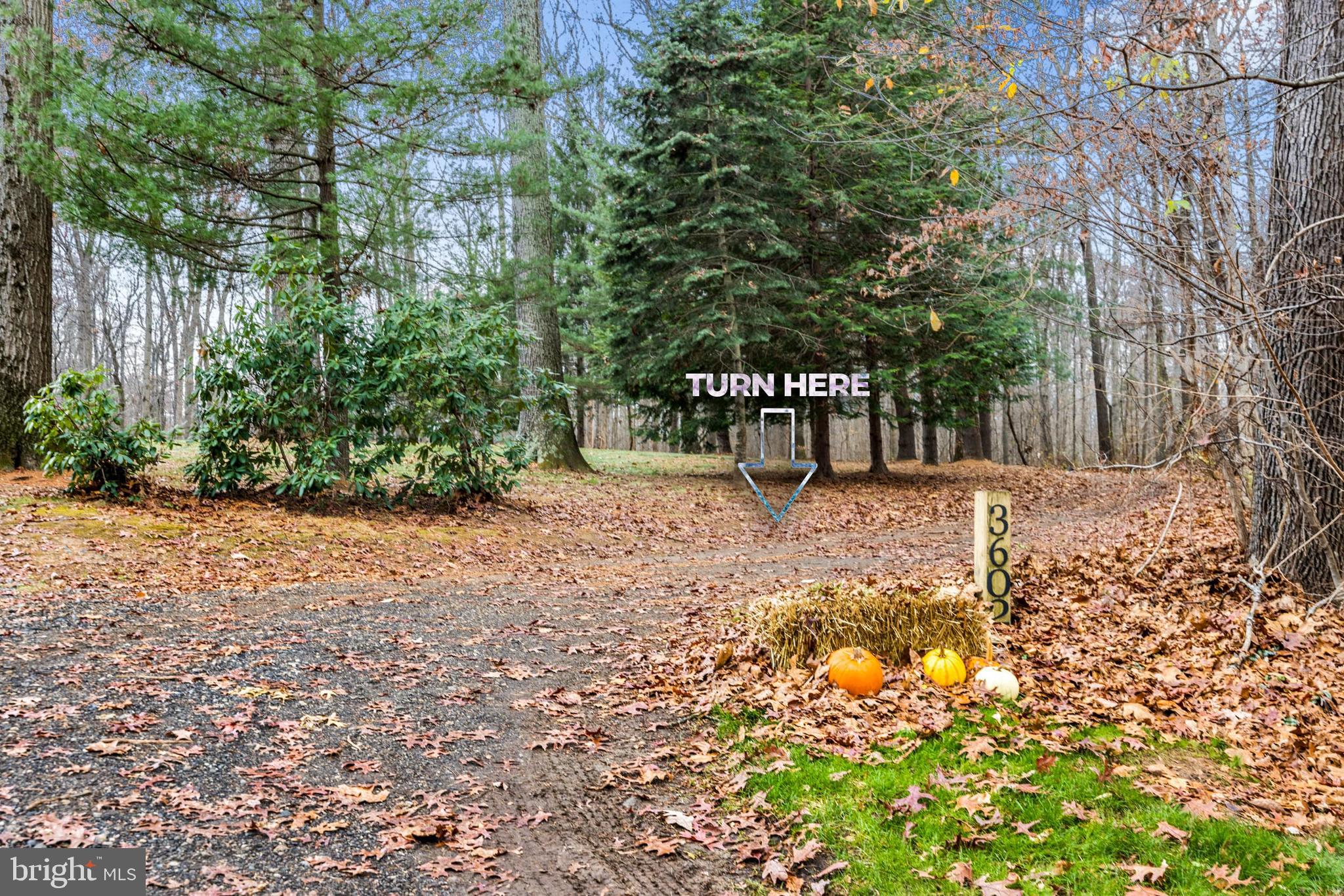 2052 Nelson Mill Road Jarrettsville, MD 21084 - Photo 5 of 22 a view of outdoor space with trees