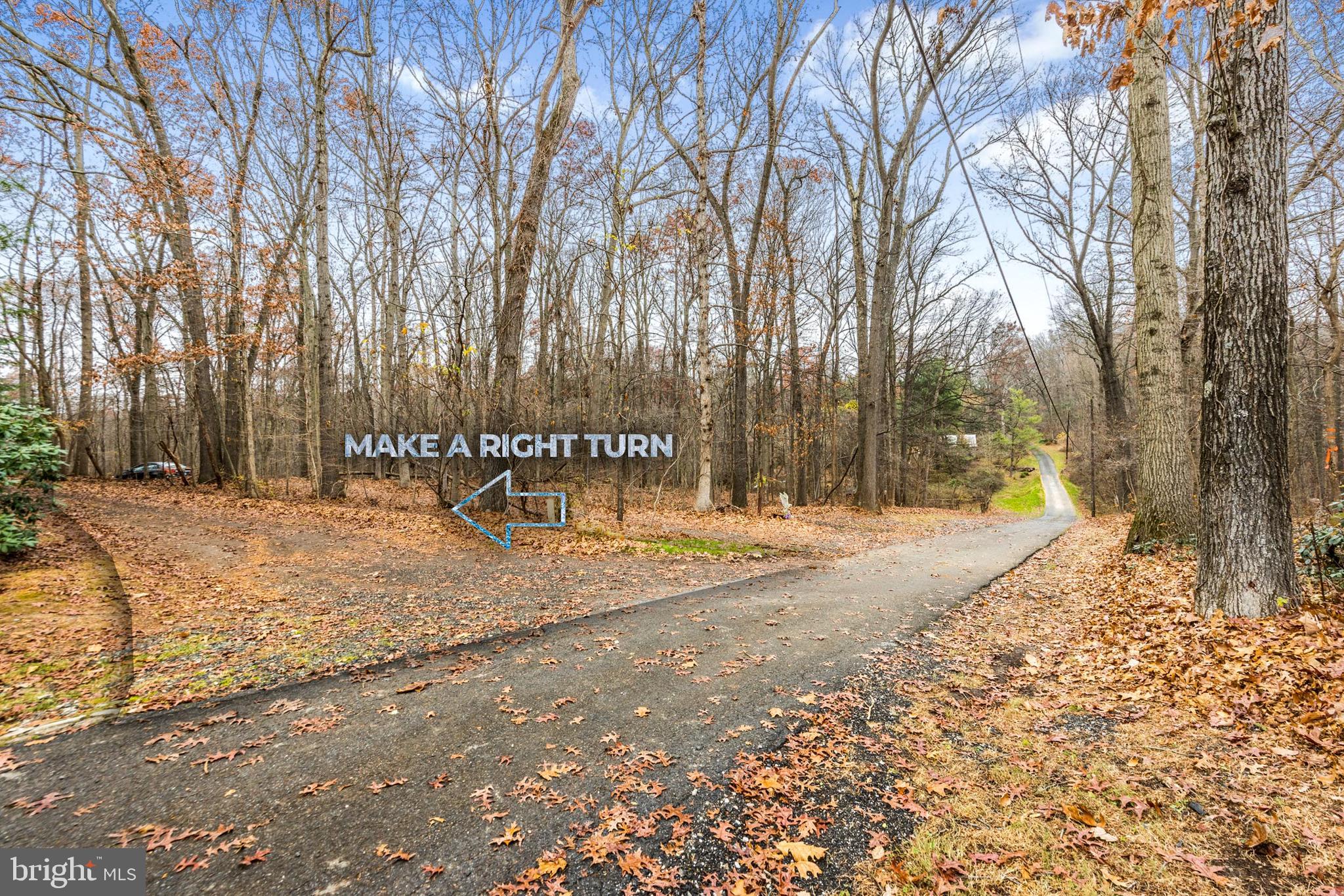 2052 Nelson Mill Road Jarrettsville, MD 21084 - Photo 6 of 22 a street view with large trees