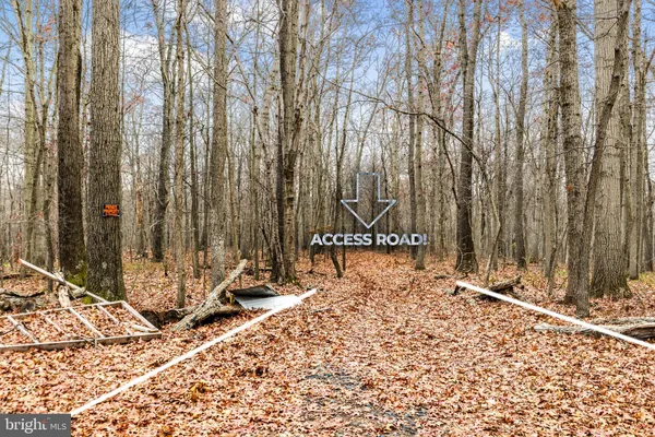a bench sitting in middle of a yard