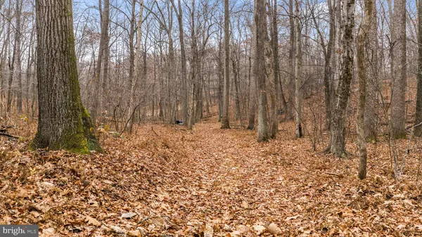 a view of a dry yard