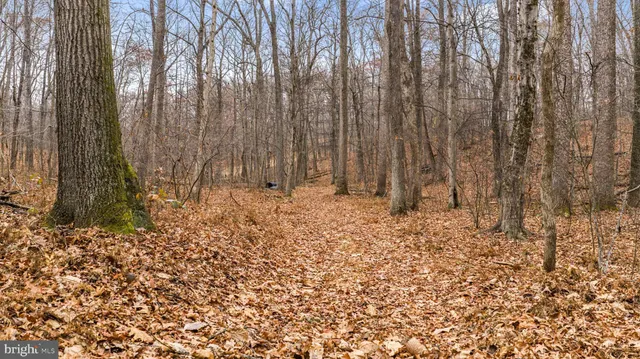 a view of a dry yard