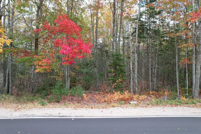 $110,000 | 535 Bert Gray Road, Sullivan, ME 04664