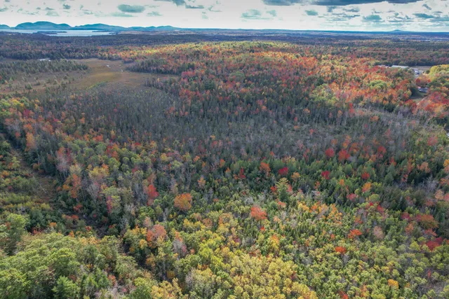 $110,000 | 535 Bert Gray Road, Sullivan, ME 04664