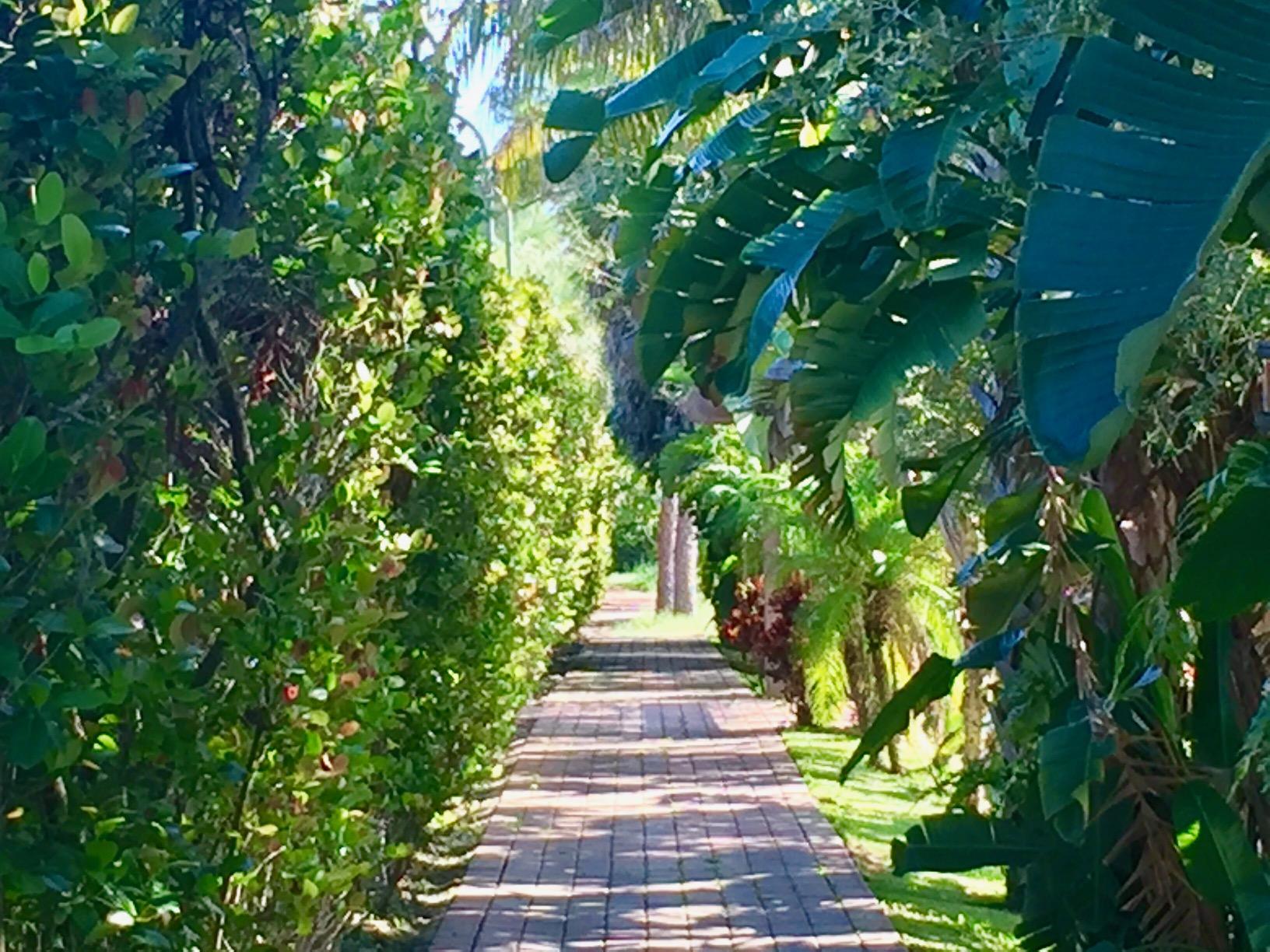 1846 Southwest 17th Street Boca Raton, FL 33486 - Photo 36 of 37 Calming walkways