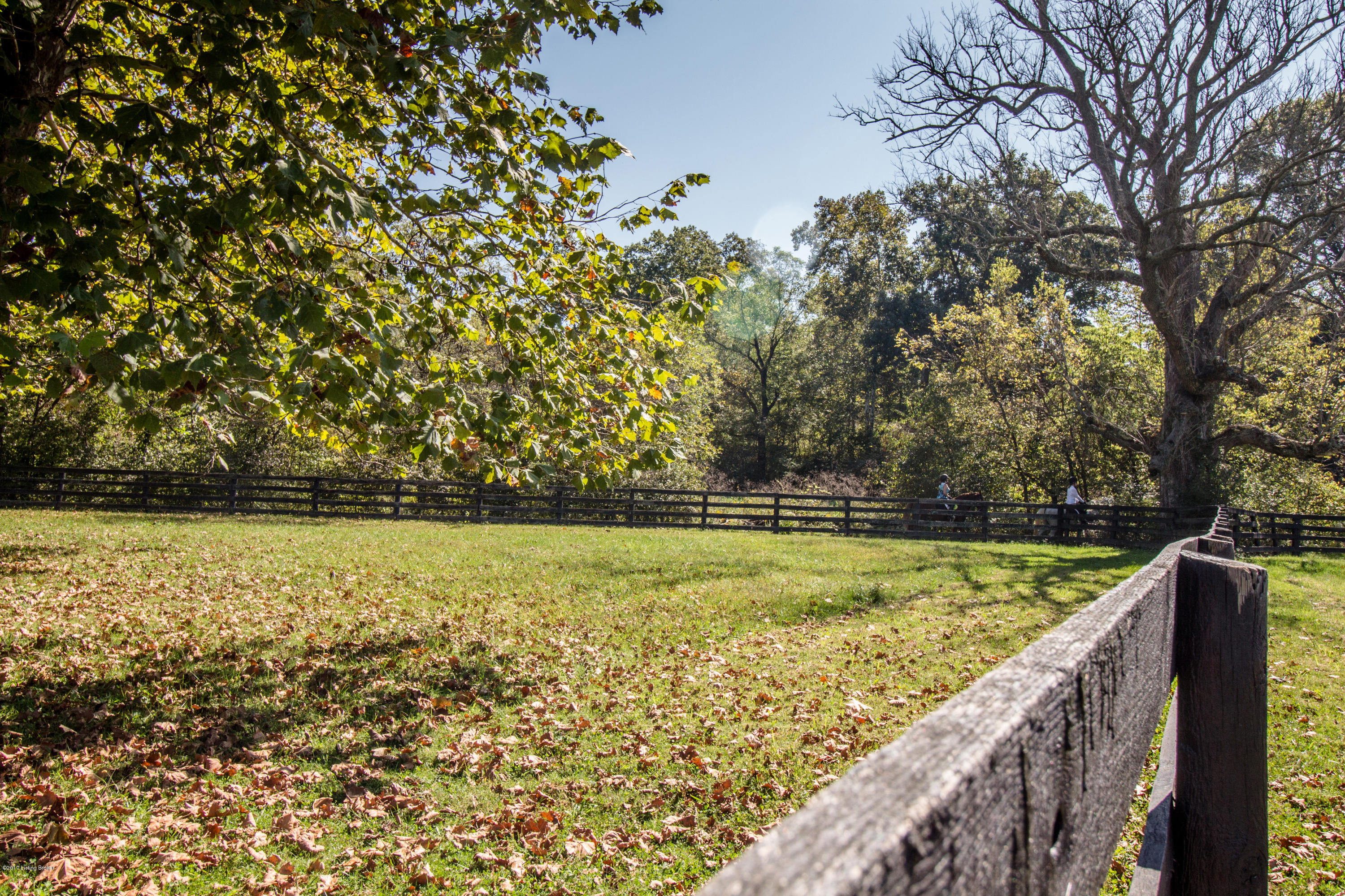 5201 Old Sligo Road Pendleton, KY 40055 - Photo 48 of 51 5201 Old Sligo Rd-25