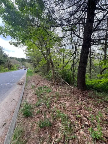 a big yard with lots of green space