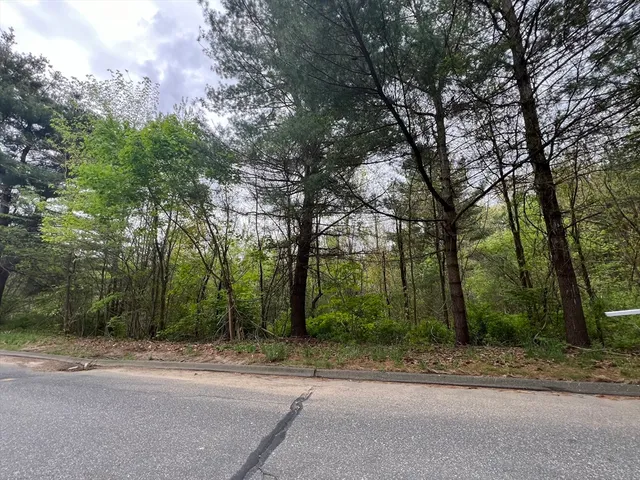 a view of a yard with a trees