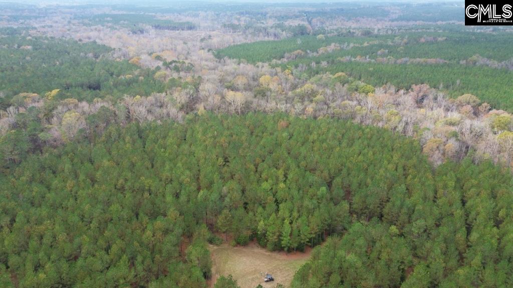 Old Cherokee Road Blair, SC 29015 - Photo 8 of 18