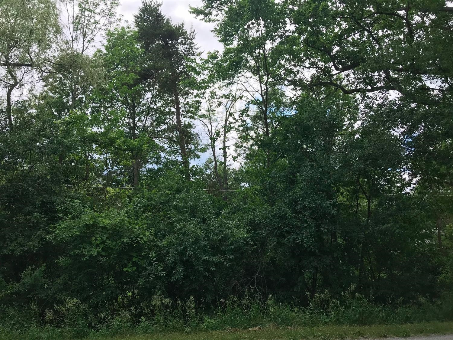 6085 Webster Church Road Dexter, MI 48130 - Photo 3 of 12 Photo 3