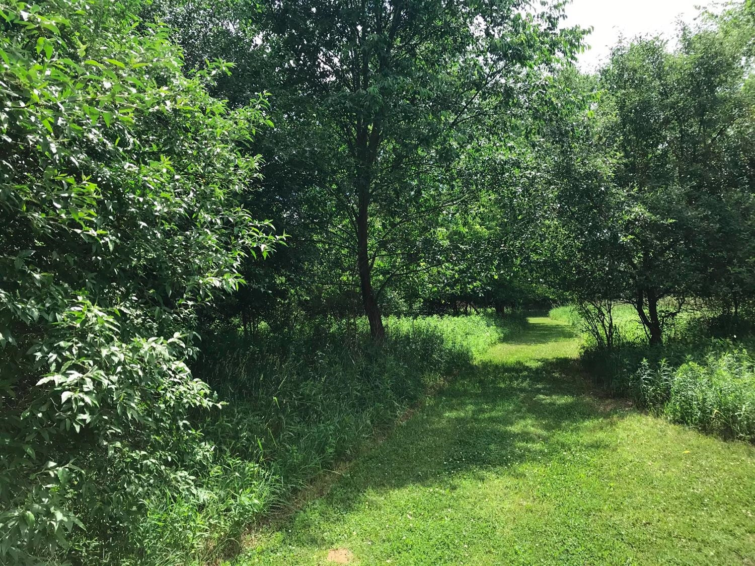 6085 Webster Church Road Dexter, MI 48130 - Photo 4 of 12 Photo 4