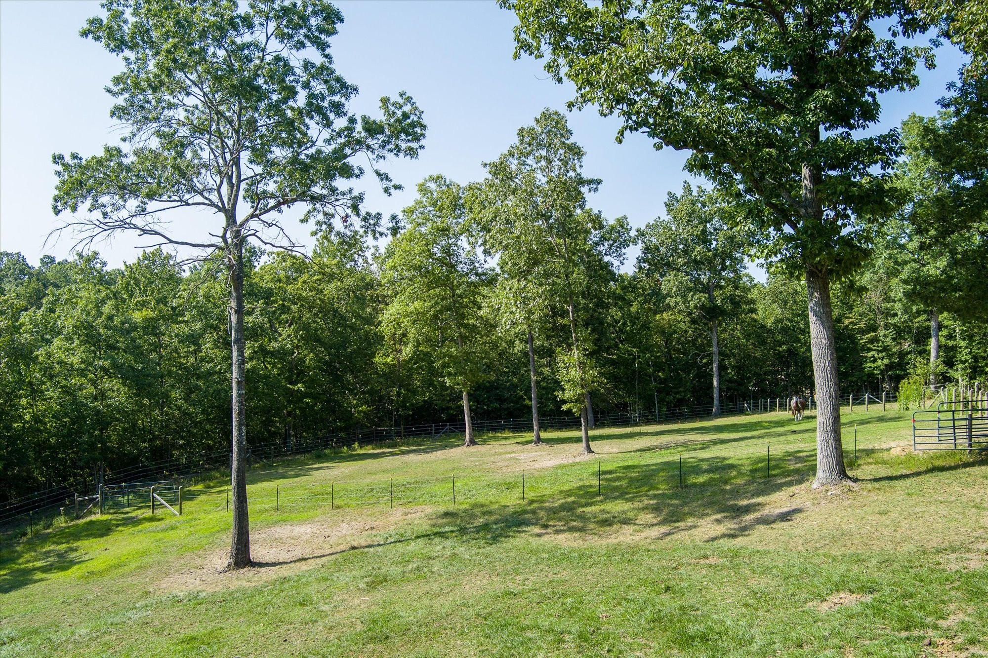 644 Bluebird Ridge Road Jamestown, TN 38556 - Photo 35 of 67 Gallery Image 35