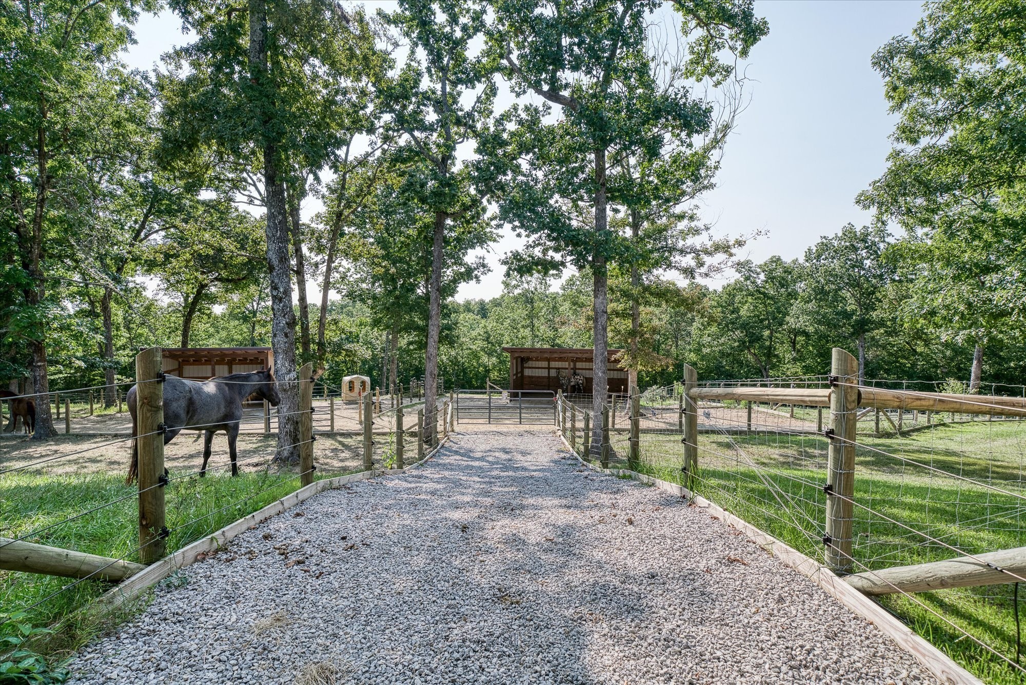 644 Bluebird Ridge Road Jamestown, TN 38556 - Photo 54 of 67 Gallery Image 54