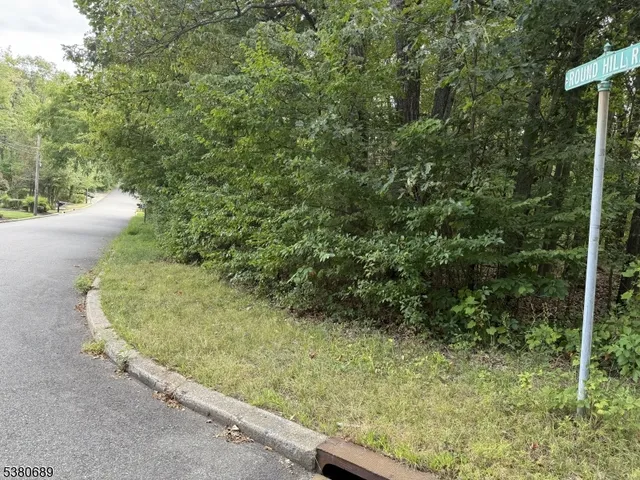 a view of a back yard of the house