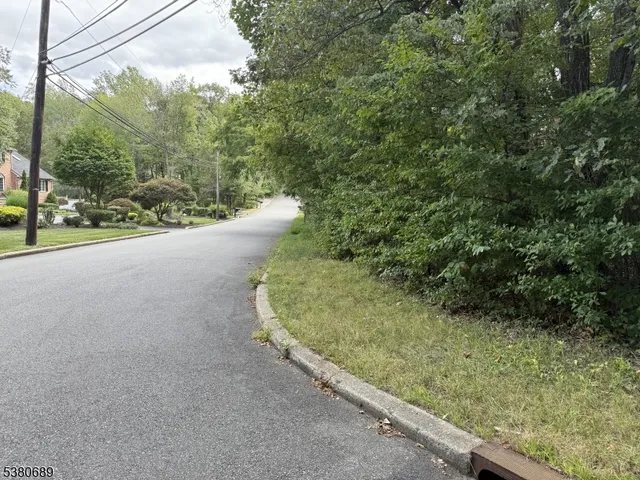 a view of a lush green forest