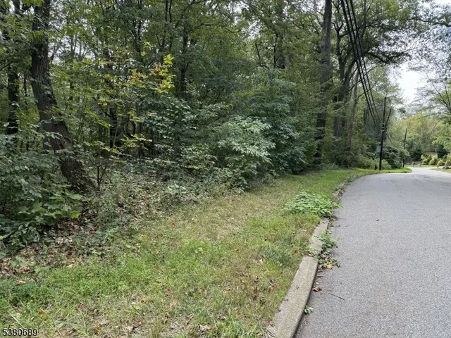 a view of a field with a tree