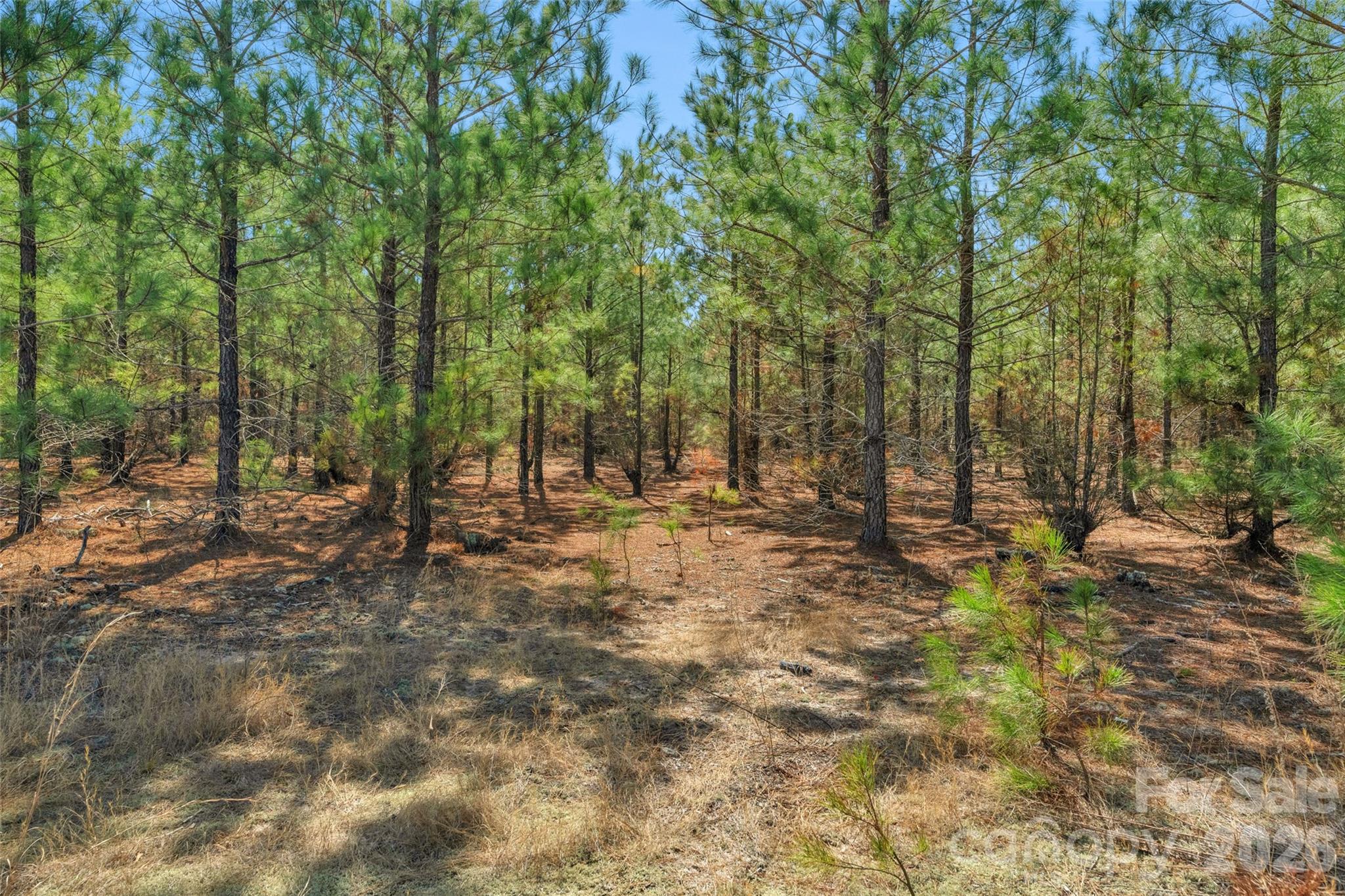 931 Charlie Johnson Road, Unit 7 Kershaw, SC 29067 - Photo 10 of 34