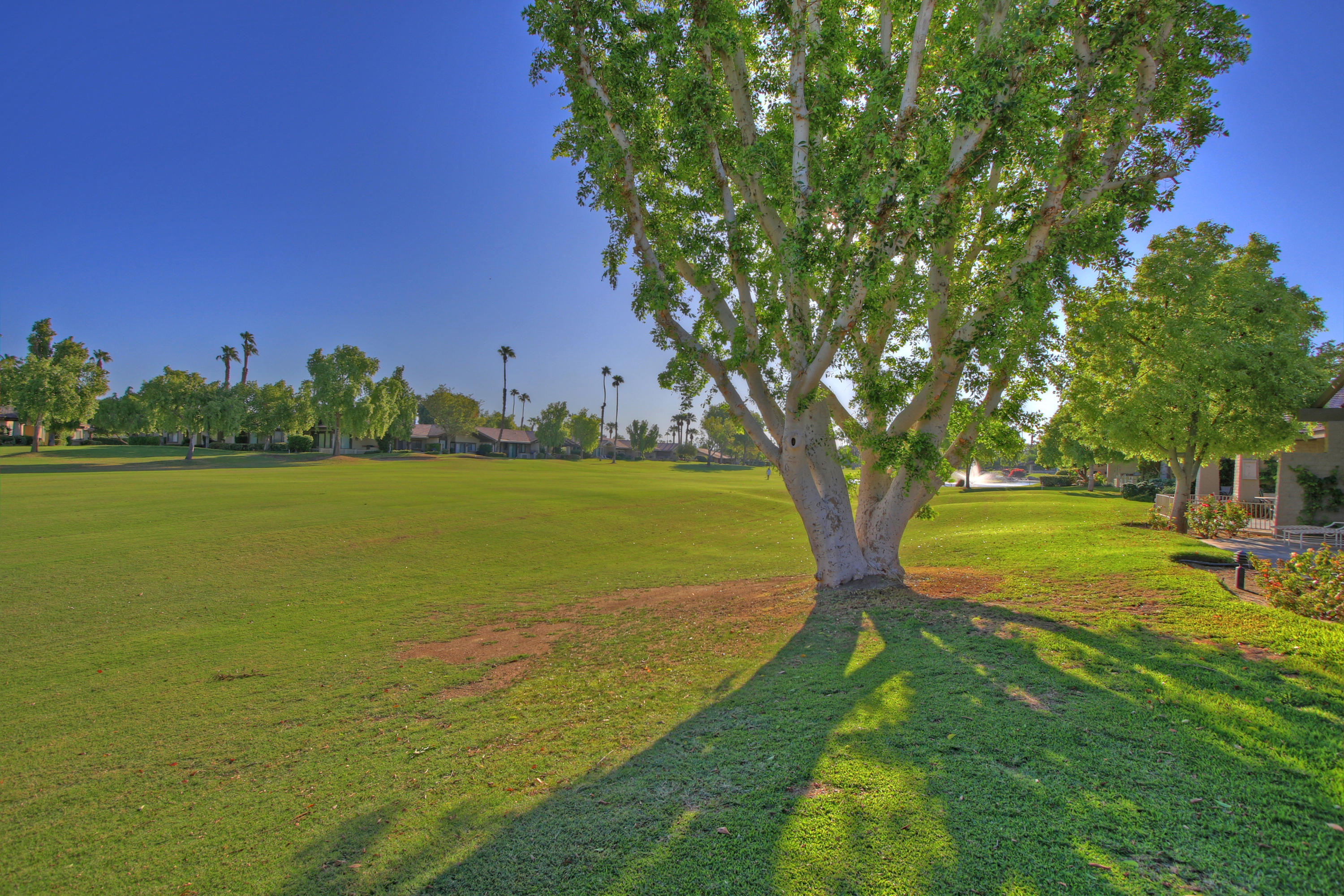 210 Wagon Wheel Road Palm Desert, CA 92211 - Photo 27 of 27 a view of yard with swimming pool and green space