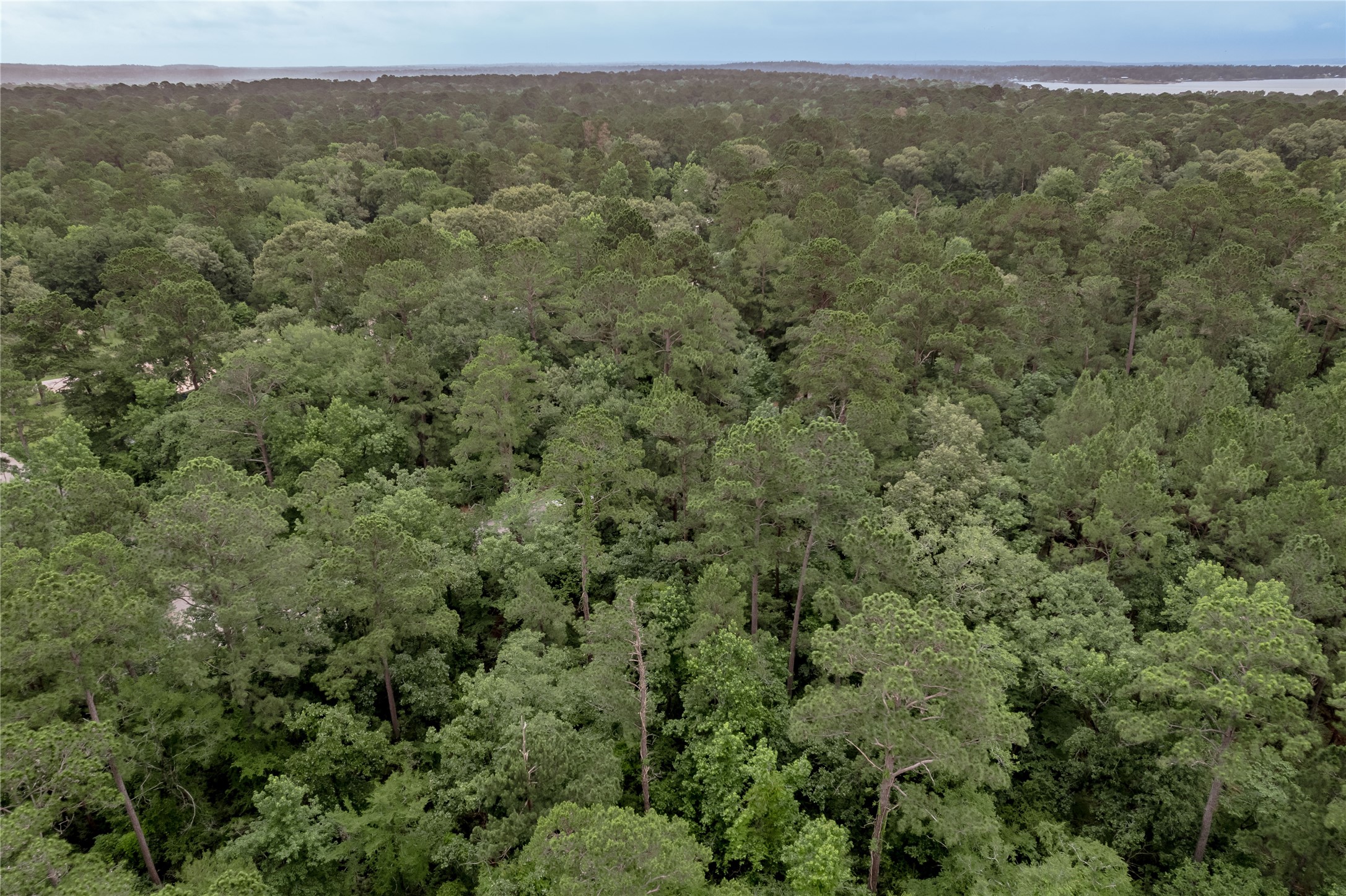 Lot 08 Oak Drive Trinity, TX 75862 - Photo 18 of 32