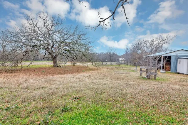 a house that has a tree in it