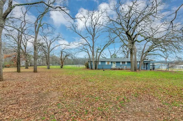 a view of outdoor space with garden and trees