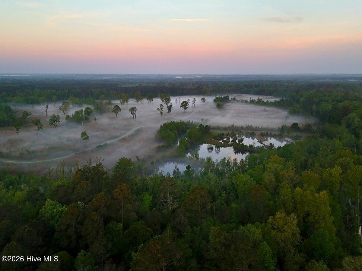 0 Durwood Evans Road Beulaville, NC 28518 - Photo 14 of 68 14. Ponds Area