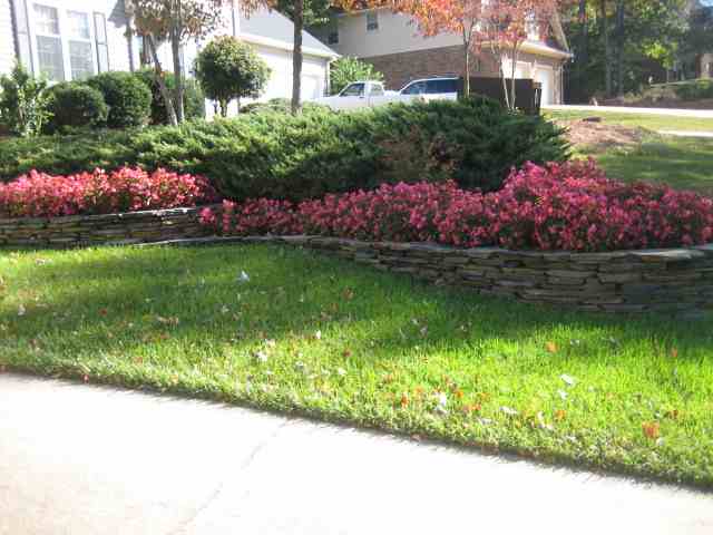 507 East Silverleaf Street Greer, SC 29650 - Photo 25 of 25 Gallery Image 25