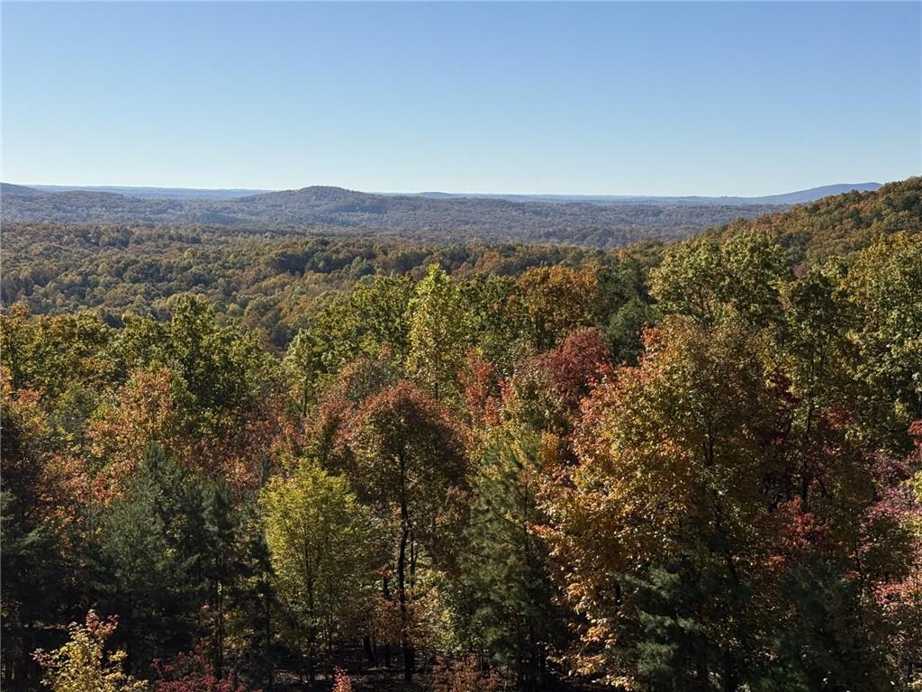 865 Laurel Ridge Road Cleveland, GA 30528 - Photo 80 of 81