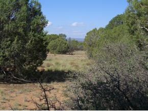 5066 West Three Forks Road Prescott, AZ 86305 - Photo 6 of 8 Additional Photo