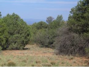 5066 West Three Forks Road Prescott, AZ 86305 - Photo 7 of 8 Additional Photo