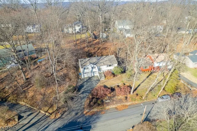 a view of staircase with lots of frames on wall and a potted plant