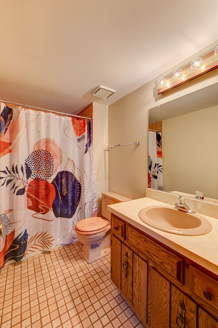 3484 Gilbert Court Crete, IL 60417 - Photo 11 of 18 a bathroom with a sink a toilet and shower