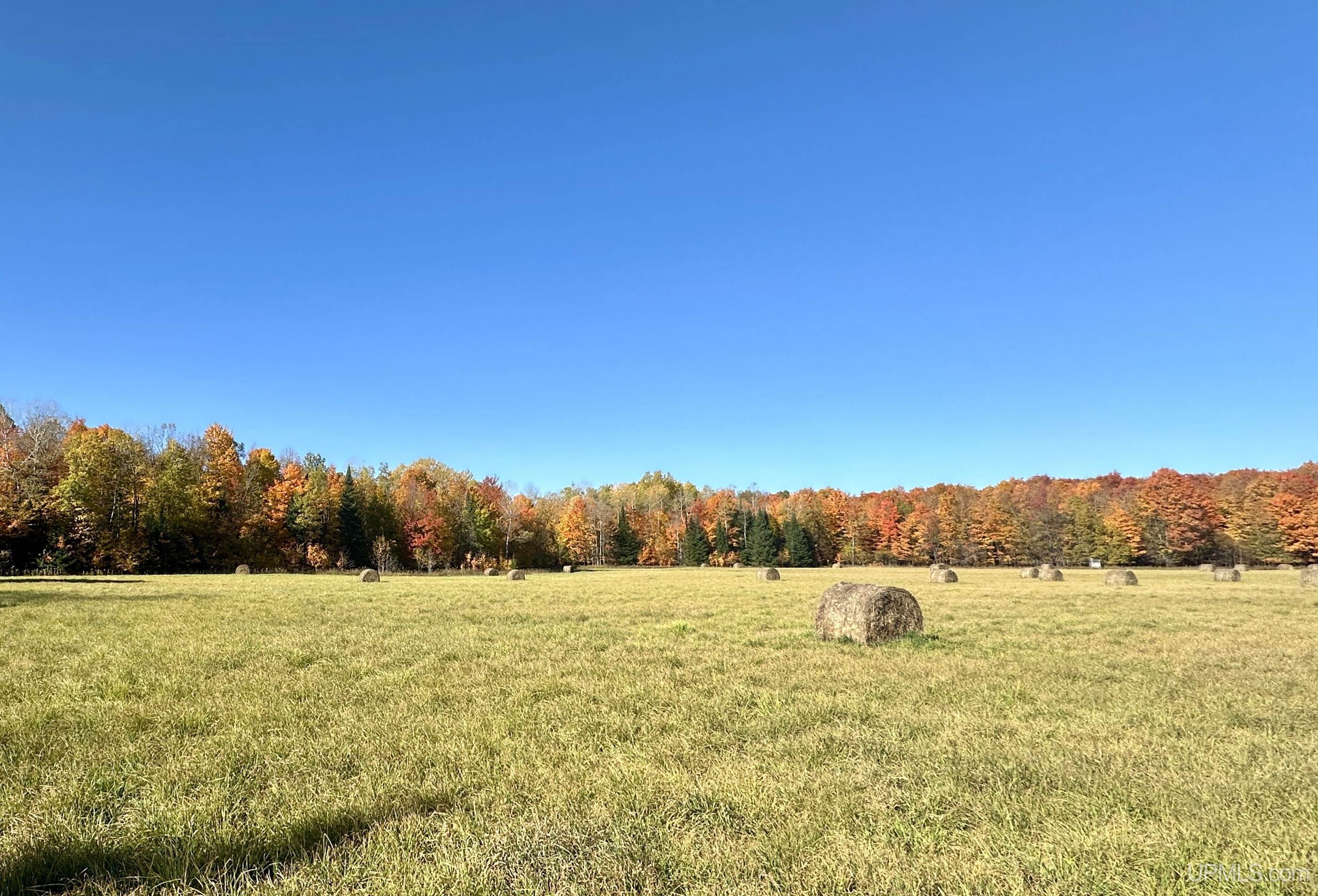 Tbd Tbd Tyner Road Chatham, MI 49816 - Photo 3 of 17