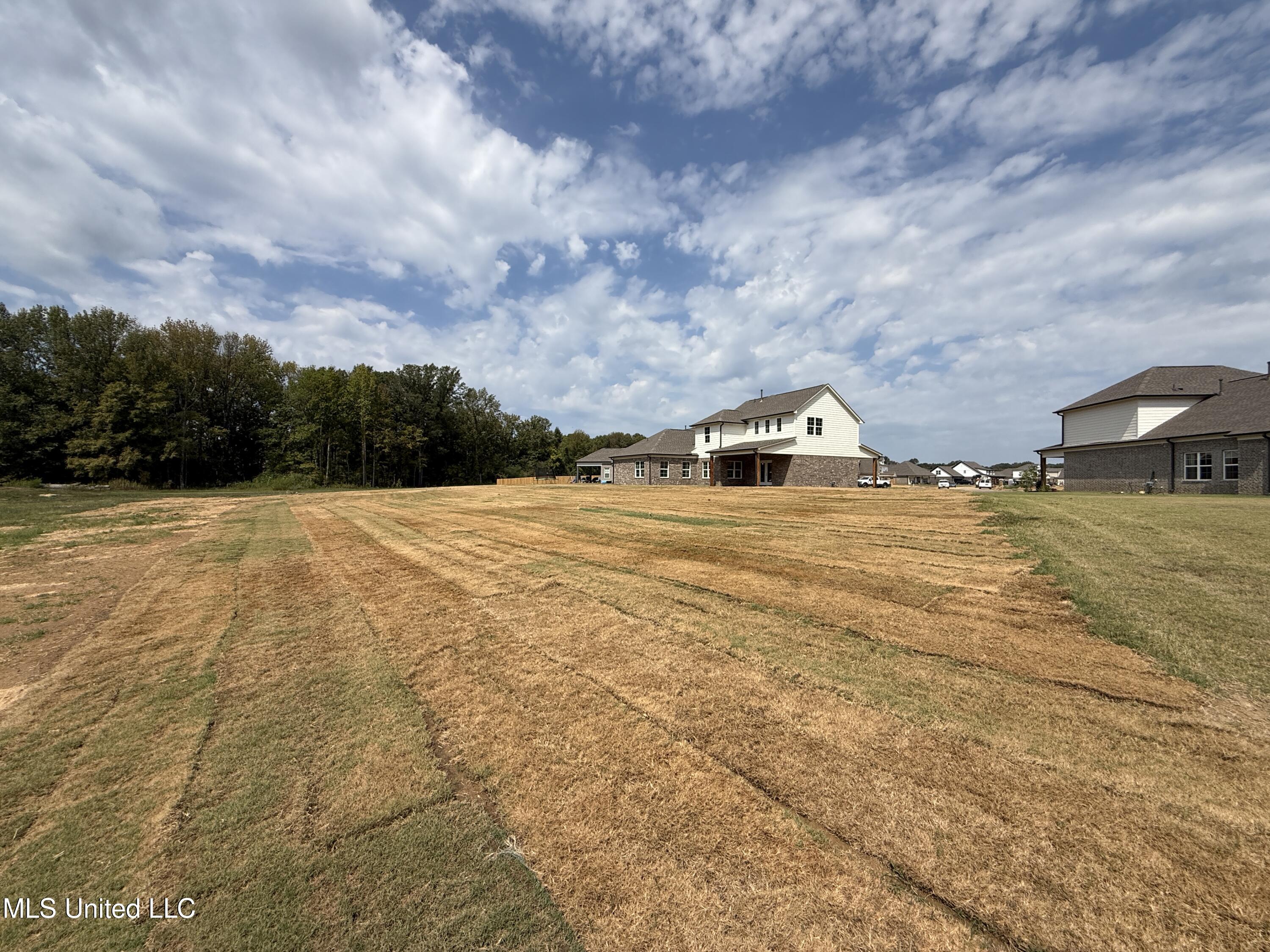 809 Wells Drive Hernando, MS 38632 - Photo 44 of 46 Teak