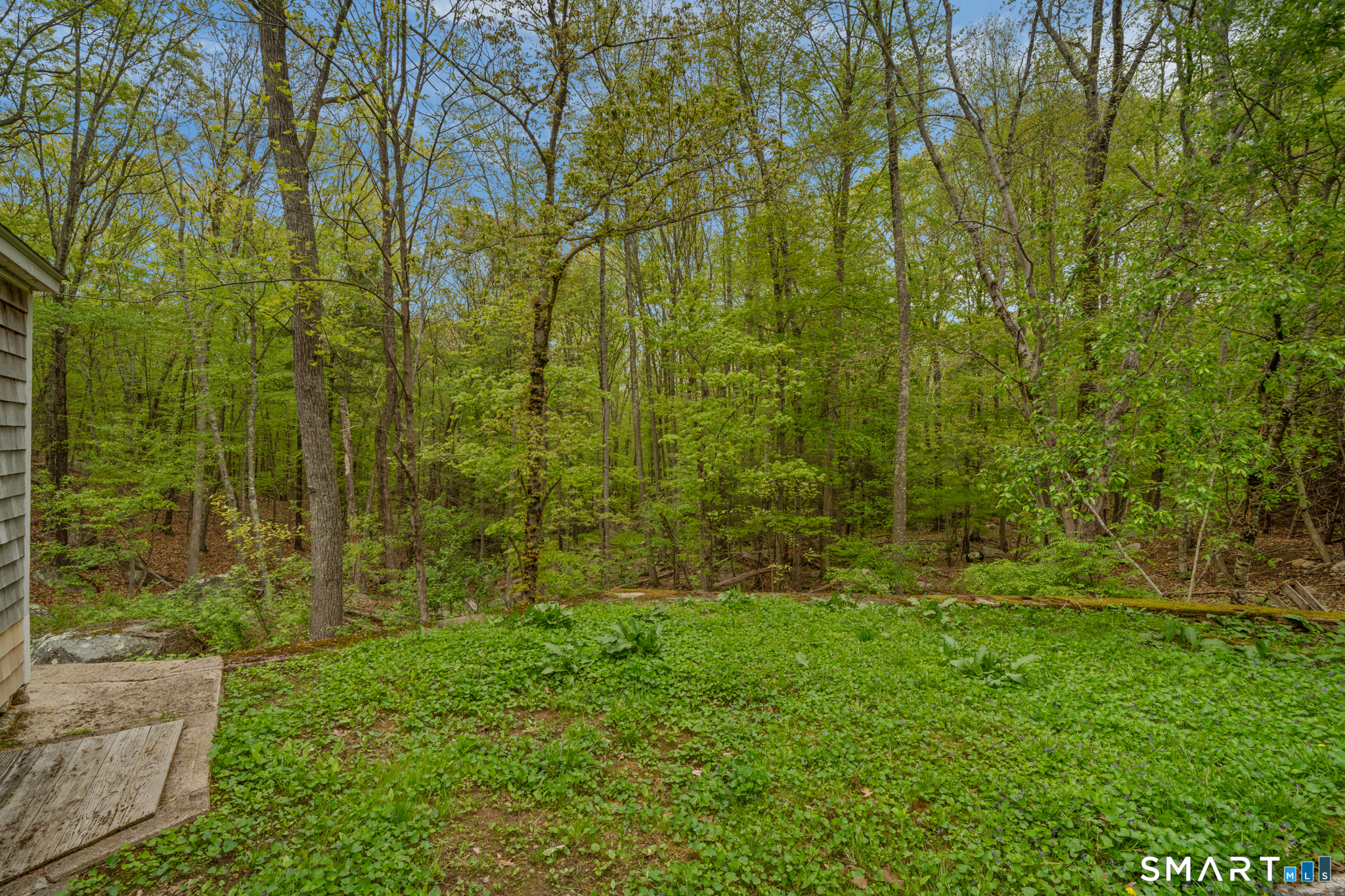 343 Hope Furnace Road Hope, RI 02831 - Photo 23 of 35 a view of yard with green space