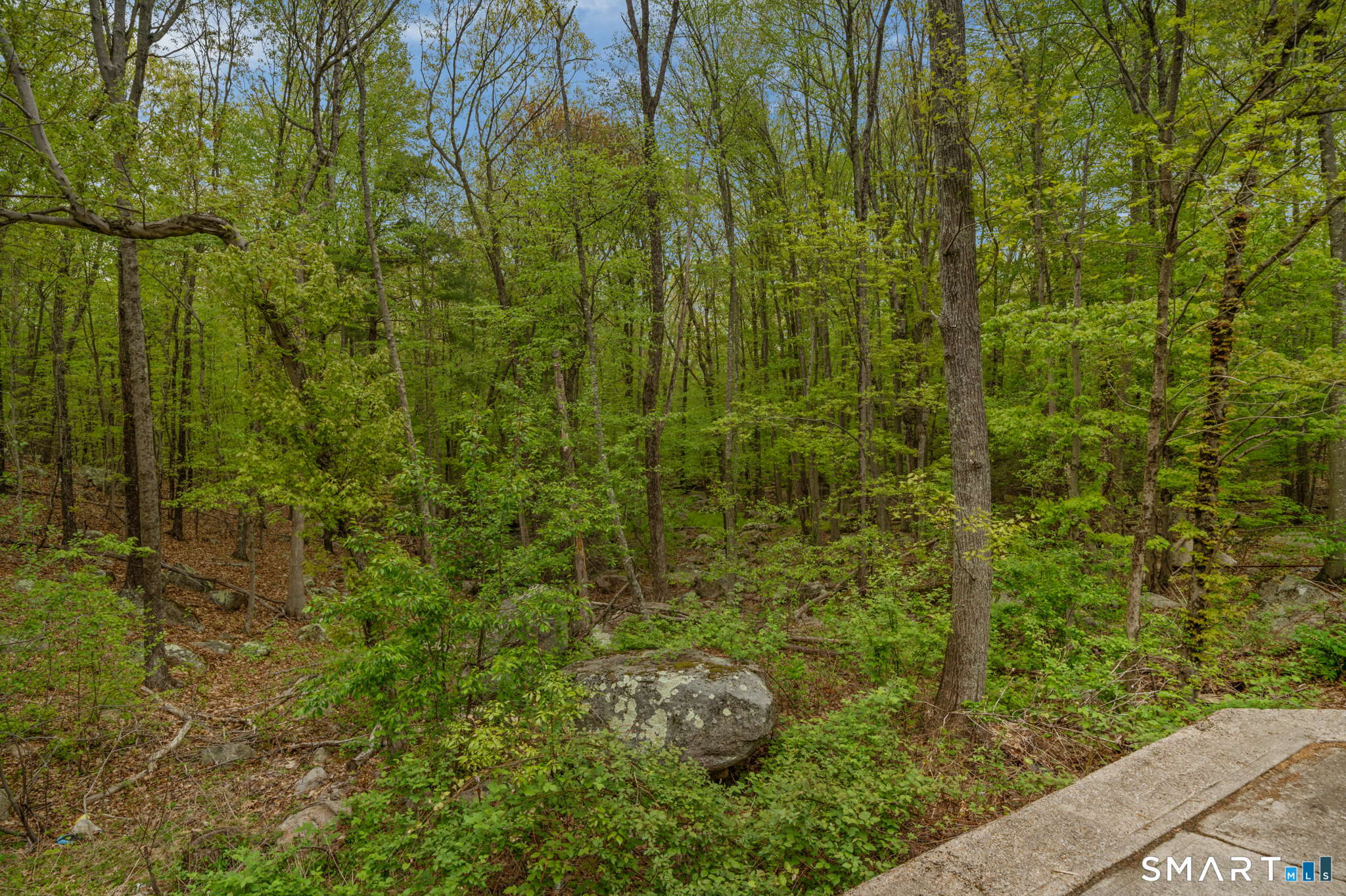 343 Hope Furnace Road Hope, RI 02831 - Photo 24 of 35 a view of a garden