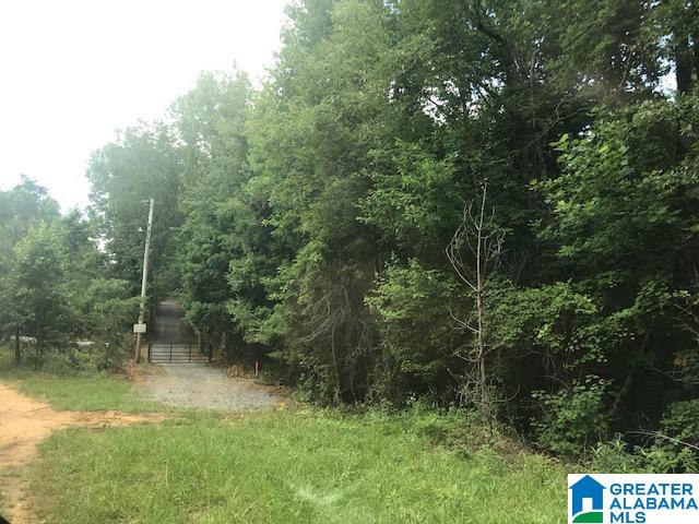 Mountain View Vance, AL 35490 - Photo 11 of 28
