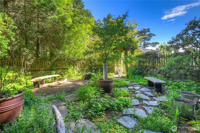 a view of a backyard with fountain plants and large tree