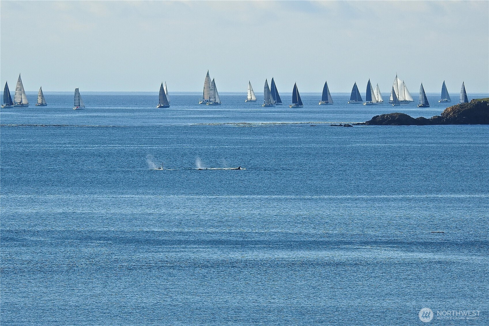 Undisclosed Address Lopez Island, WA 98261 - Photo 36 of 39