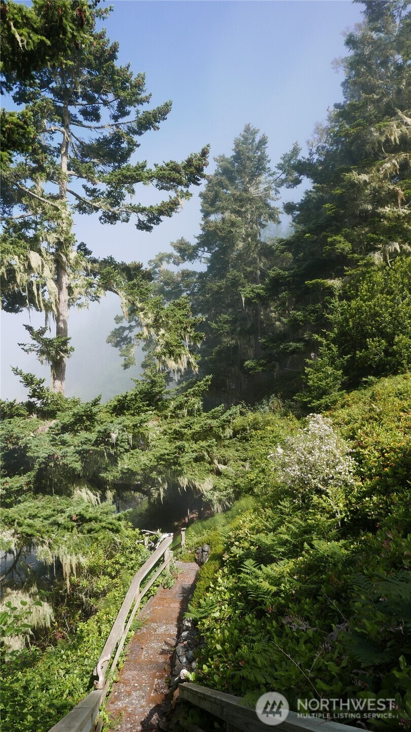 Undisclosed Address Lopez Island, WA 98261 - Photo 5 of 39