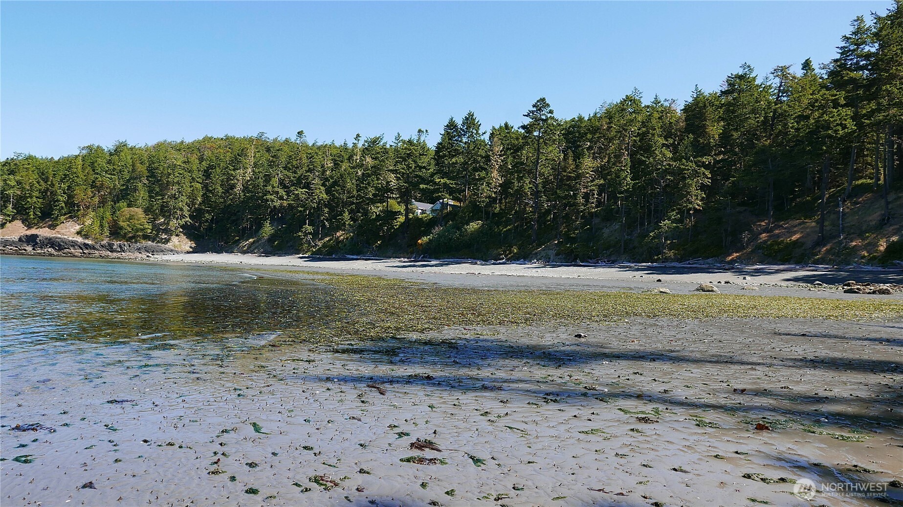 Undisclosed Address Lopez Island, WA 98261 - Photo 7 of 39