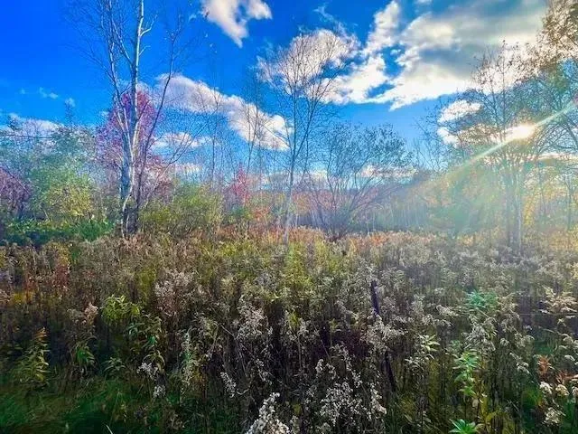 $49,900 | Lot 2 County Road, Clear Lake, WI 54005