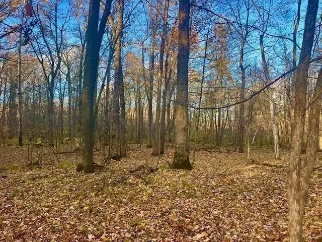 $49,900 | Lot 2 County Road, Clear Lake, WI 54005