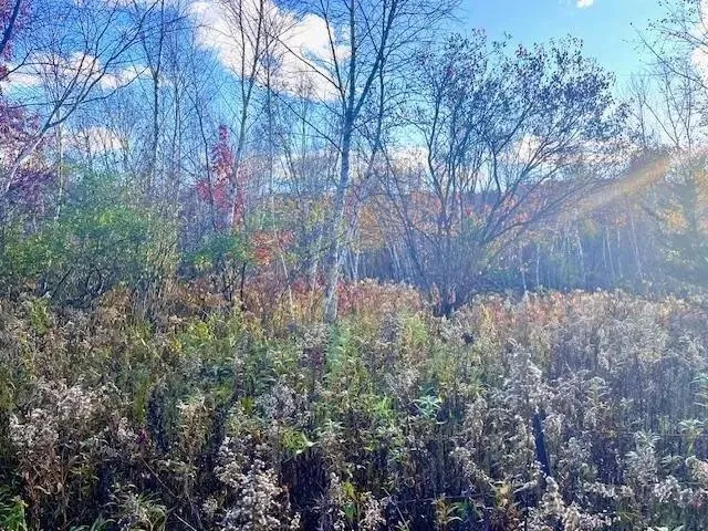 $49,900 | Lot 2 County Road, Clear Lake, WI 54005
