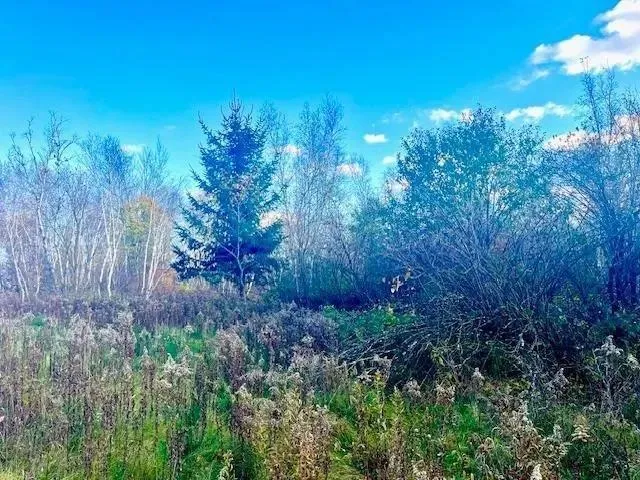 $49,900 | Lot 2 County Road, Clear Lake, WI 54005