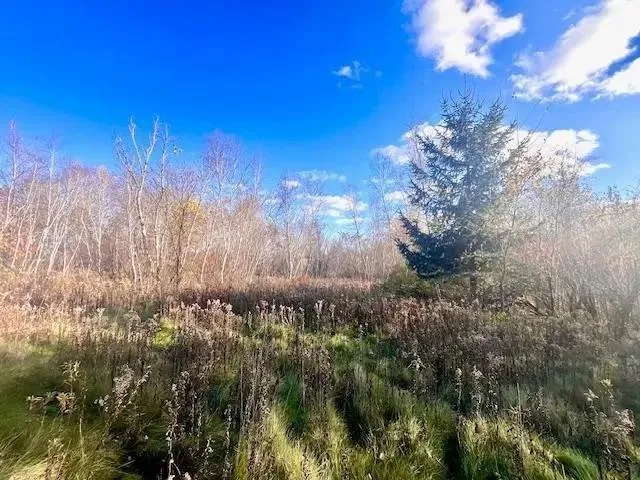 $49,900 | Lot 2 County Road, Clear Lake, WI 54005