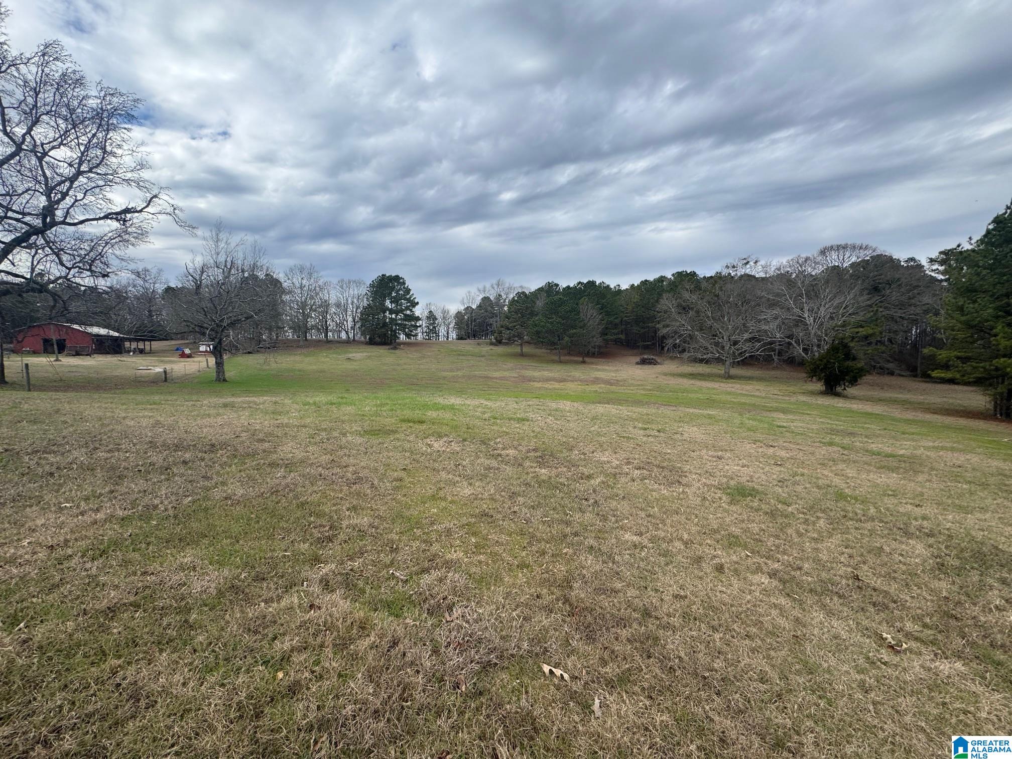 3953 Logan Martin Dam Road Cropwell, AL 35054 - Photo 63 of 99