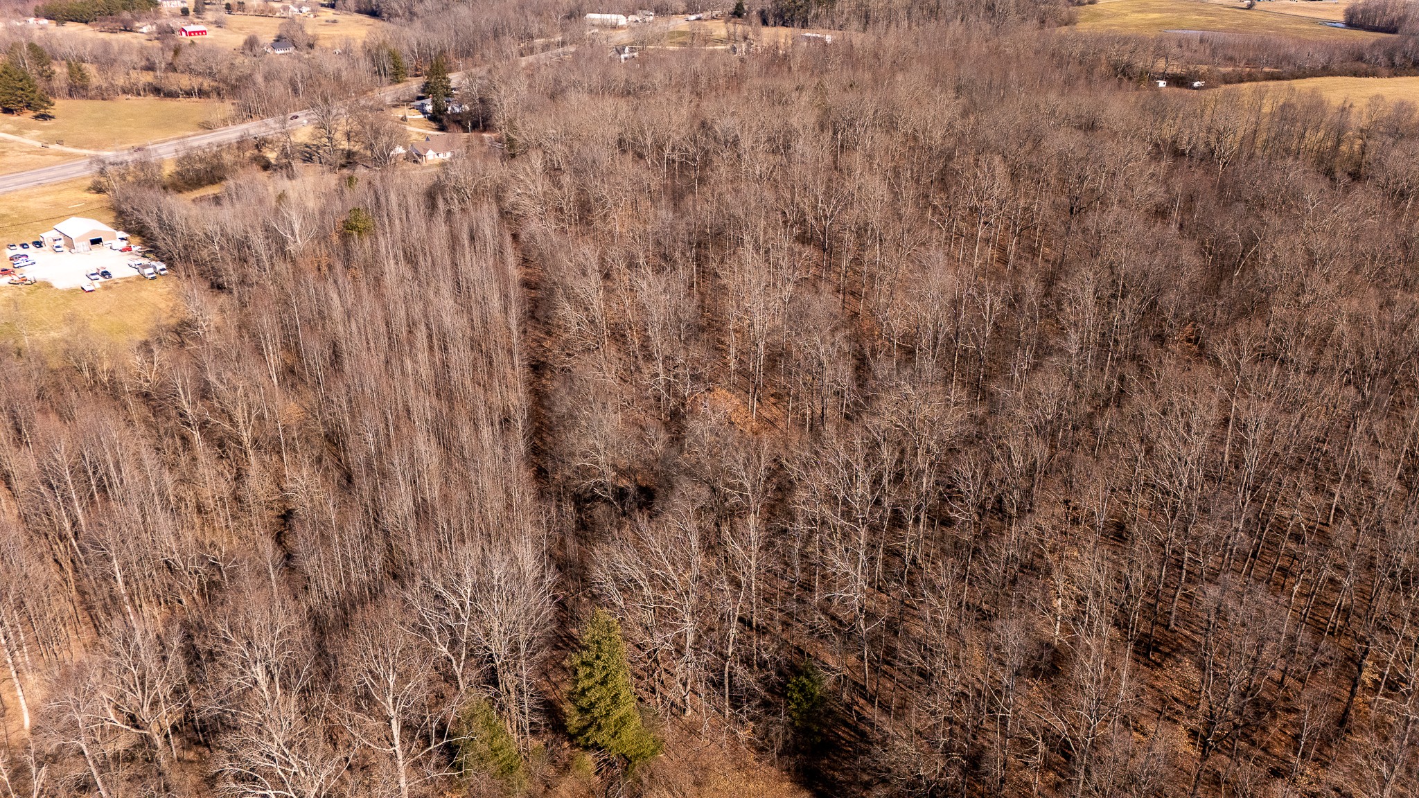 0 Rushing Lane Leoma, TN 38468 - Photo 9 of 19 Gallery Image 9